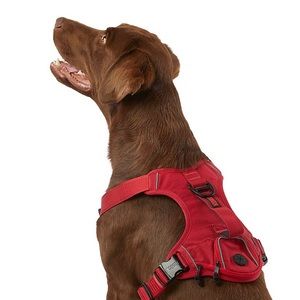 KONG Reflective Waste Bag Dog Harness | M